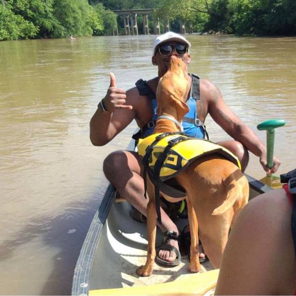 Meet your Posher, David - Picture 1 of 1